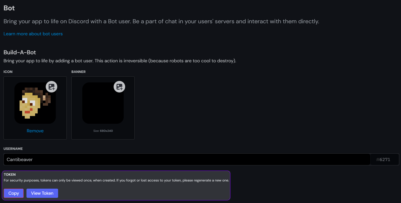Discord developer centre; Bots management panel for an application.